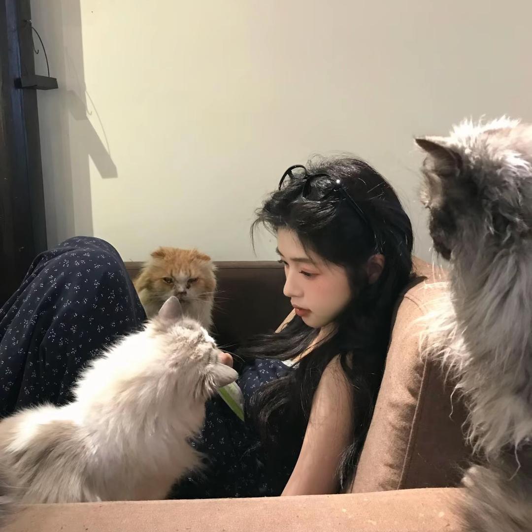 。。