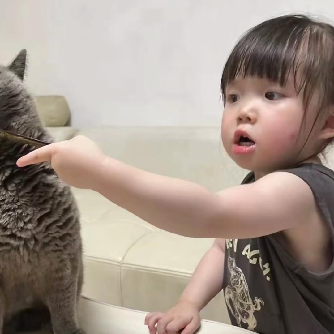 我讨厌吃葱