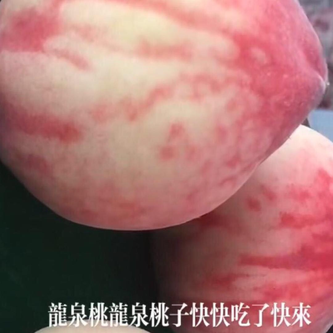 威远卖桃的勇哥