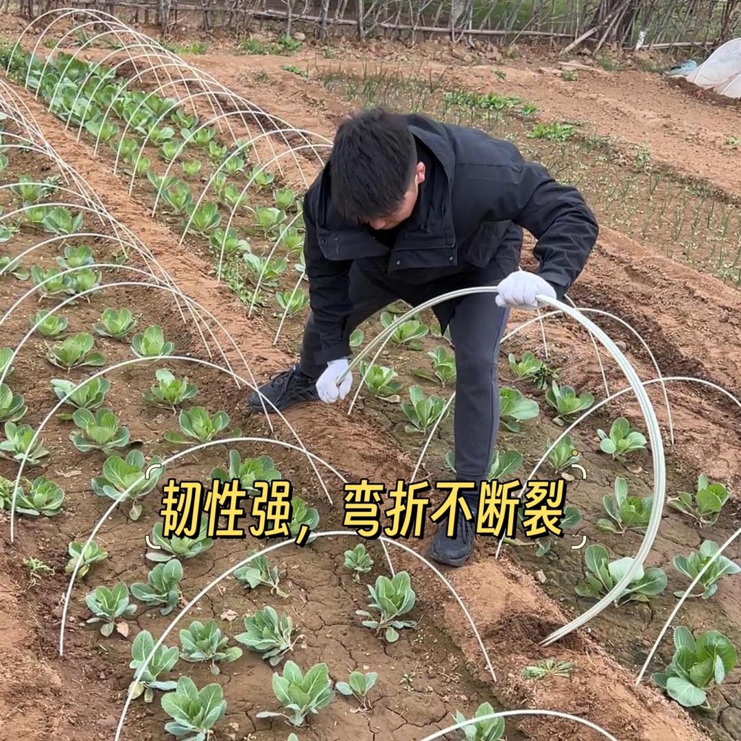 玻璃钢拱棚支架厂家