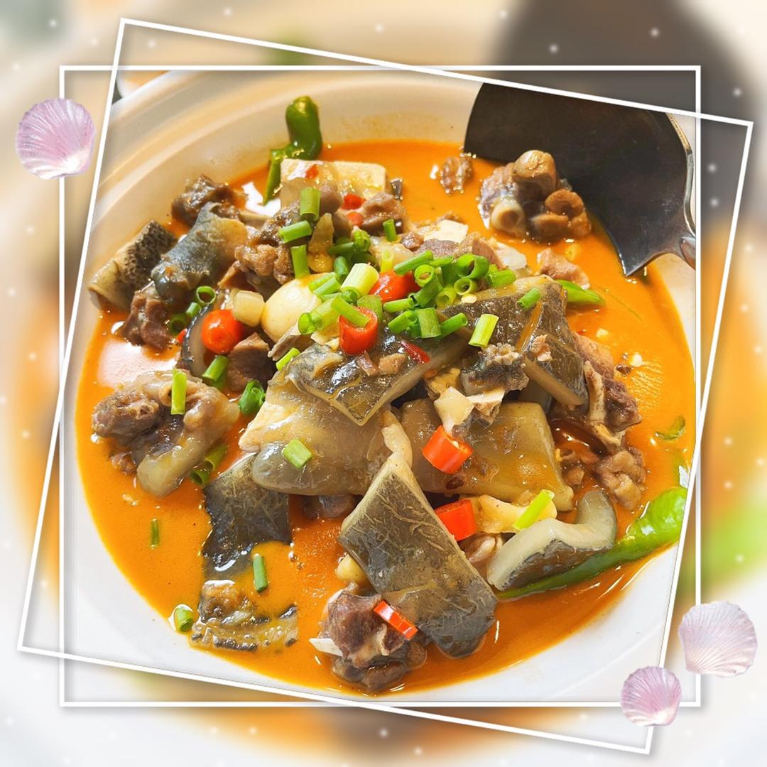 汉寿甲鱼兄弟鱼苗