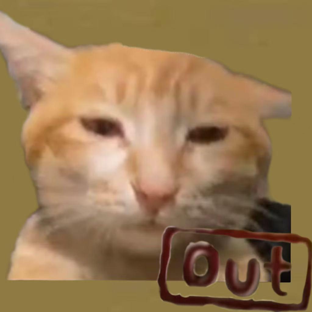 迪迪位