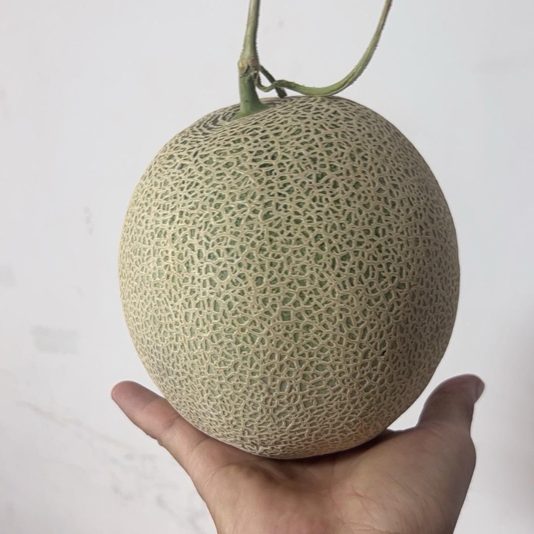 水果大王