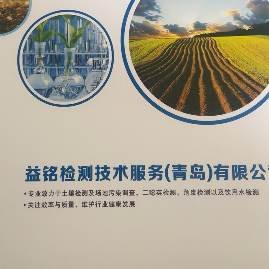 蓝色小木马