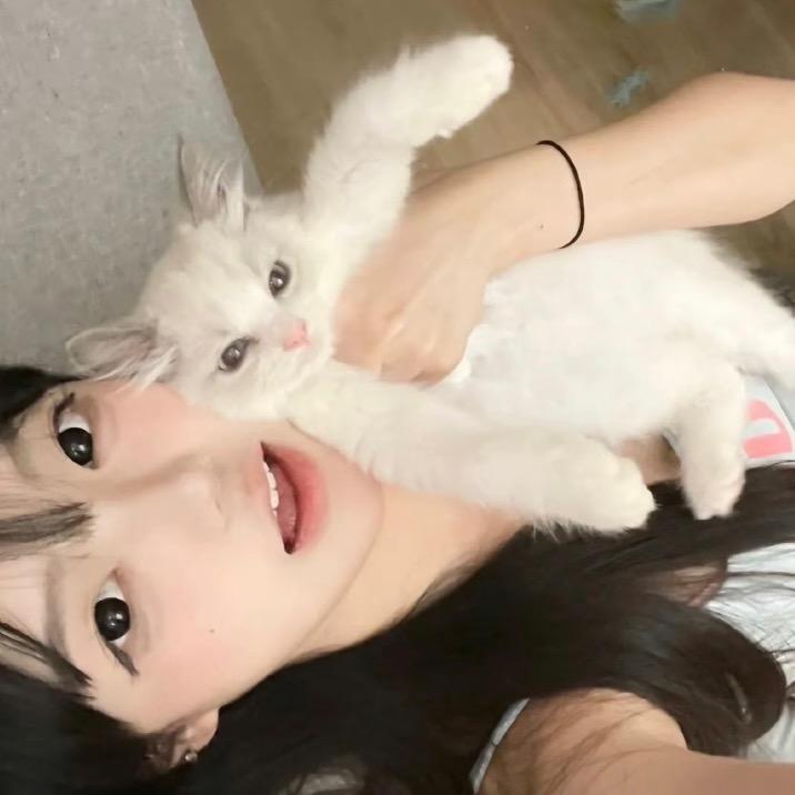 ·番茄小柿·