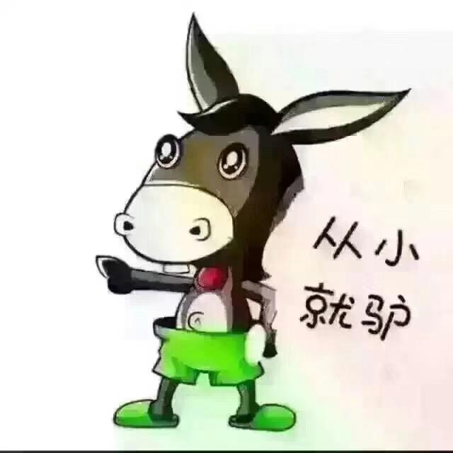乔家小院@非遗驴肉