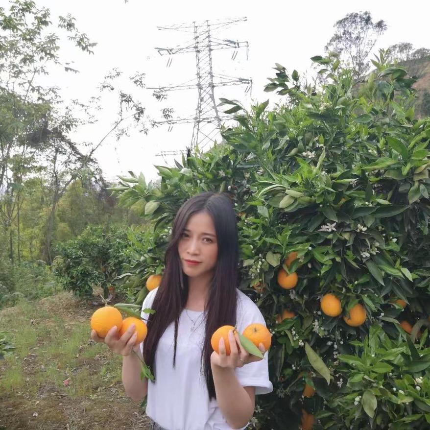 XU双双