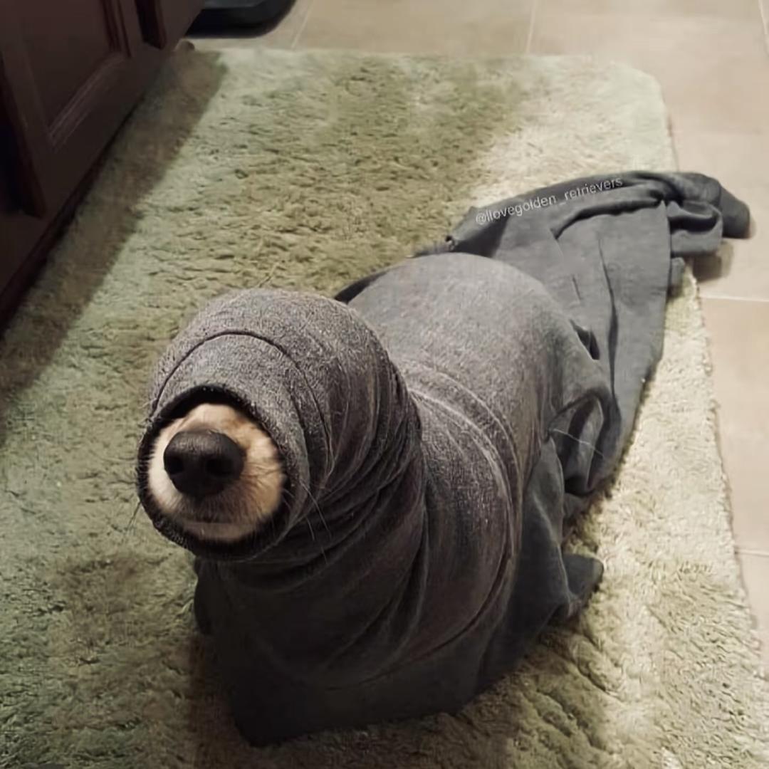 凌雄