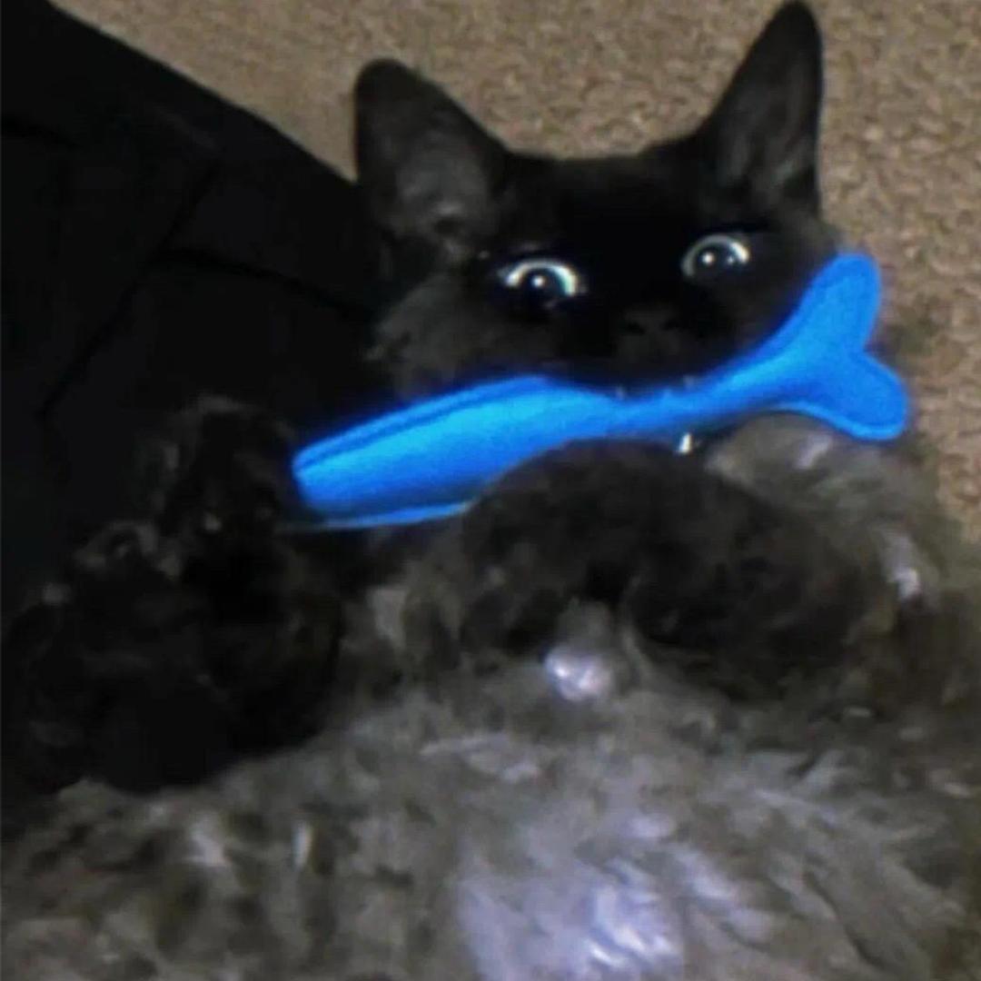 yss