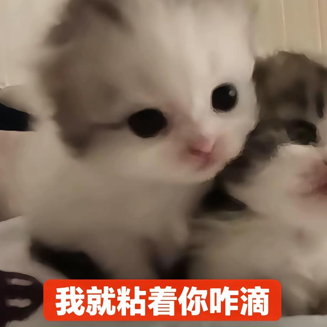 我又怎么你了