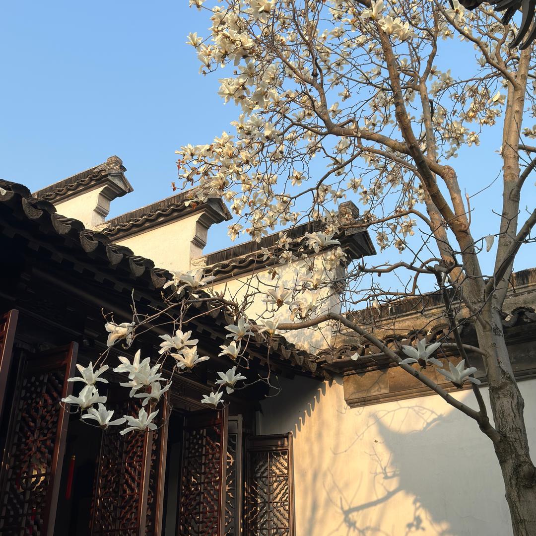 小李觅食