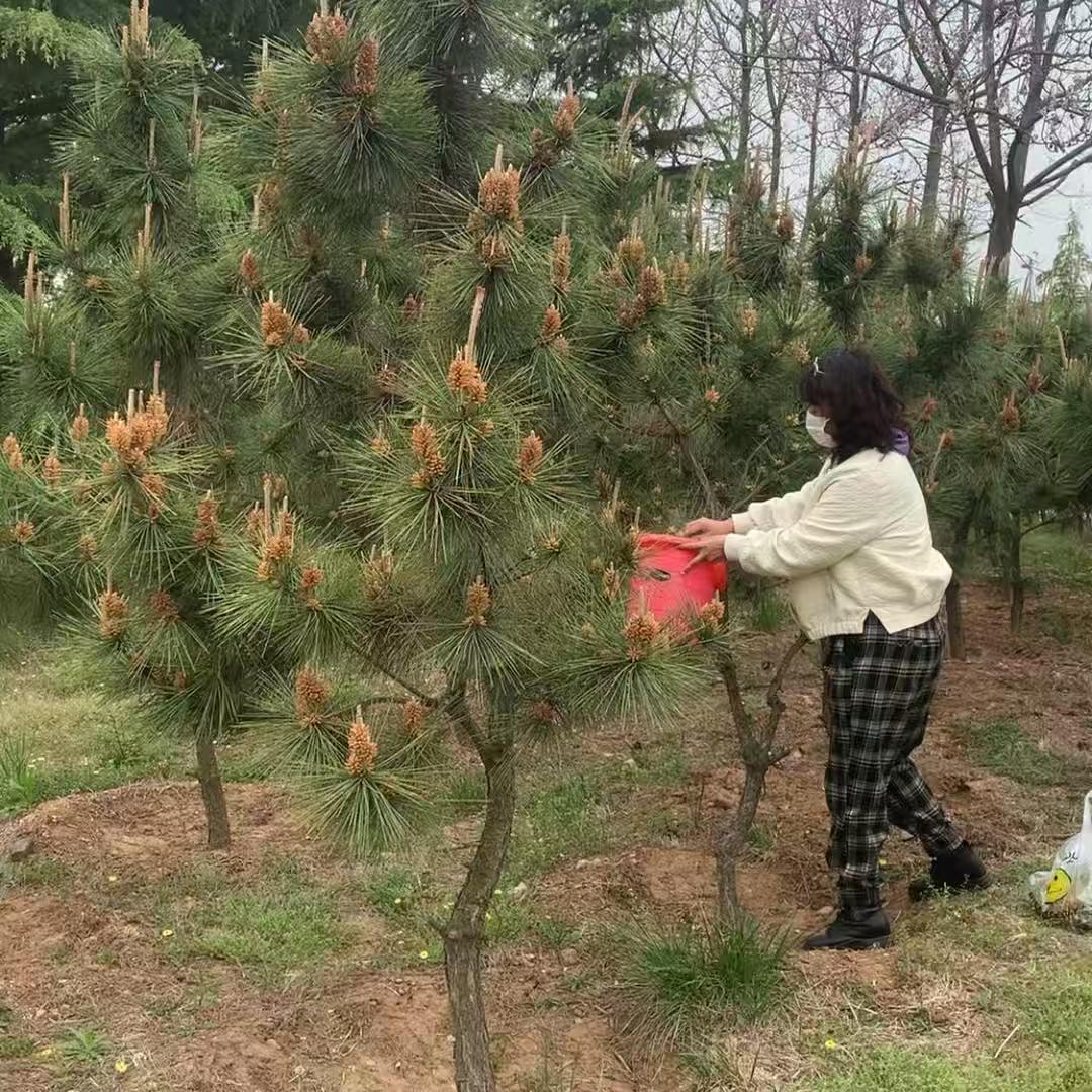 静姐本草