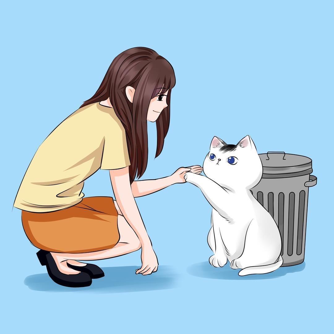 转角遇到喵（关爱流浪猫）