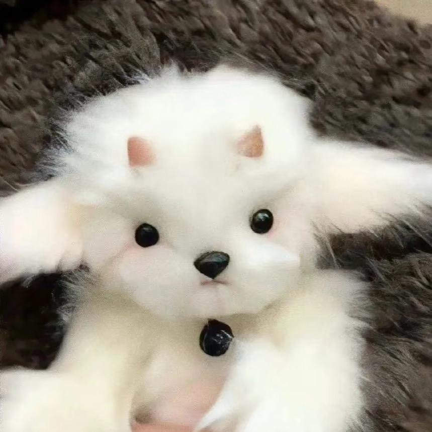 ⁰⁷¹³🐑