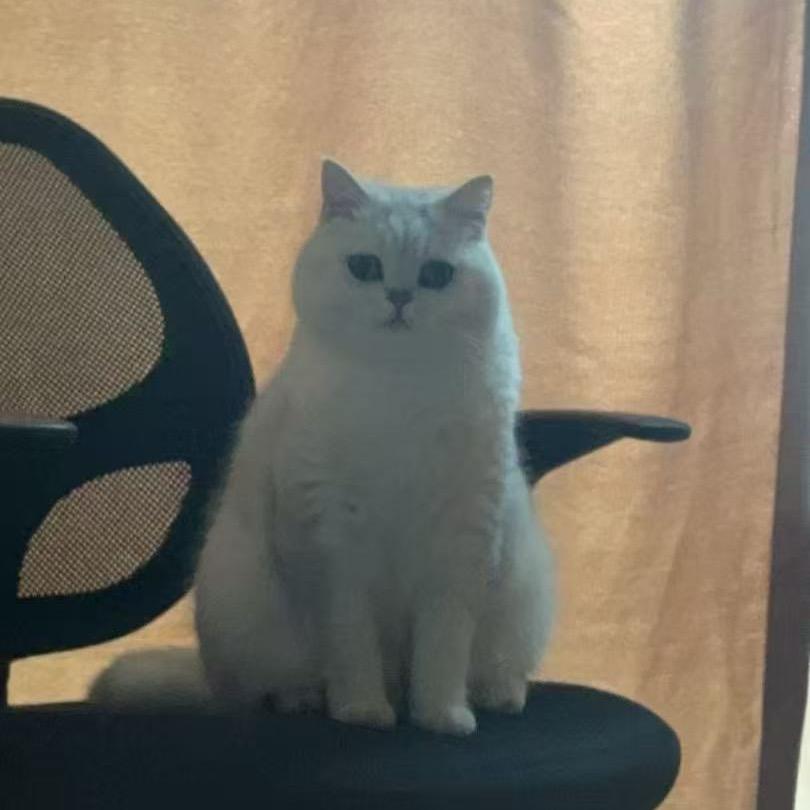 发财平安