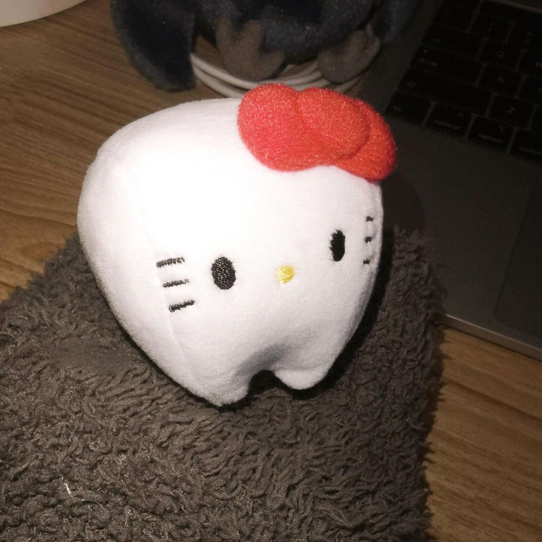 4B小猪崽🐖