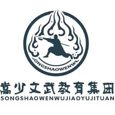 嵩少文武.散打搏击训练科