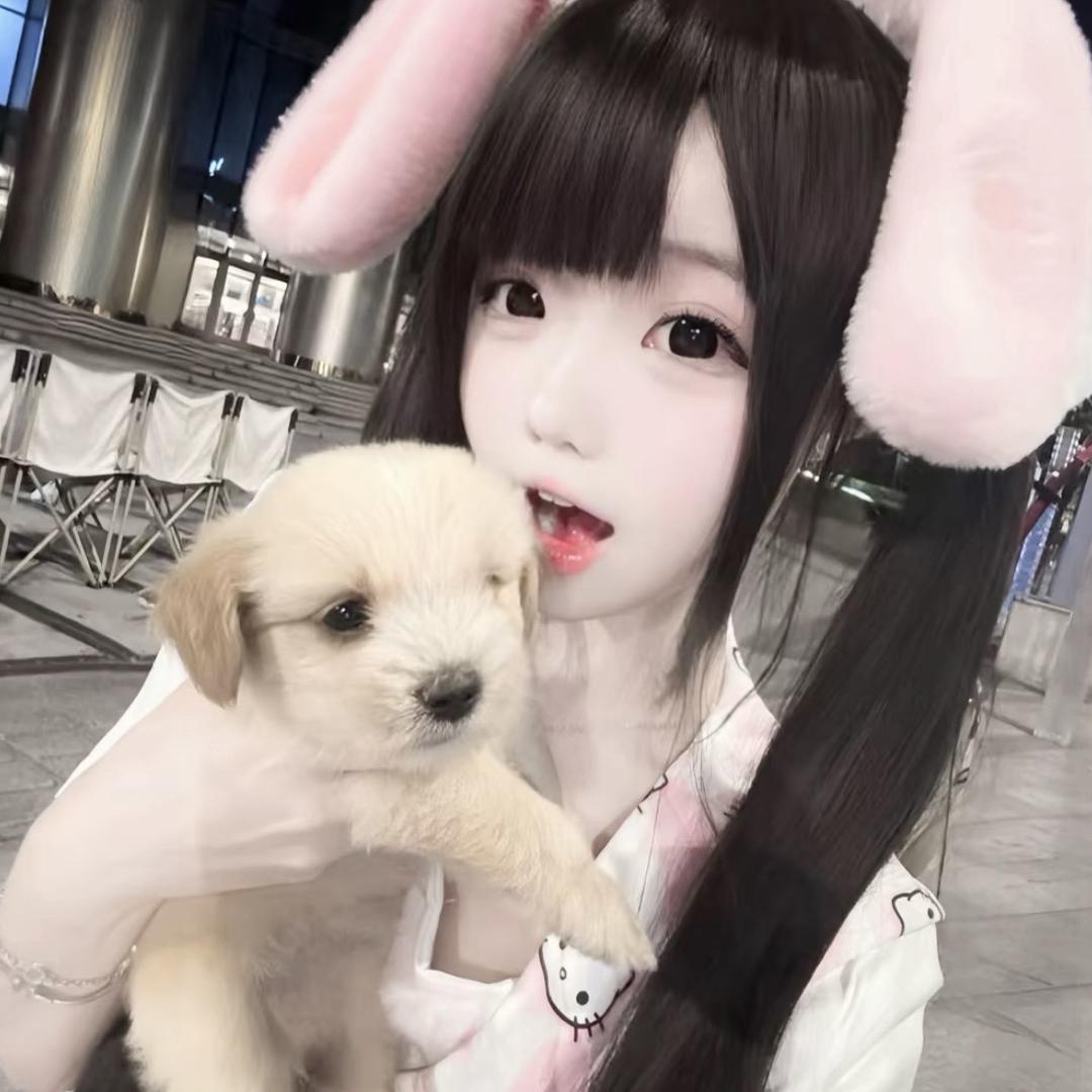 养只猫.
