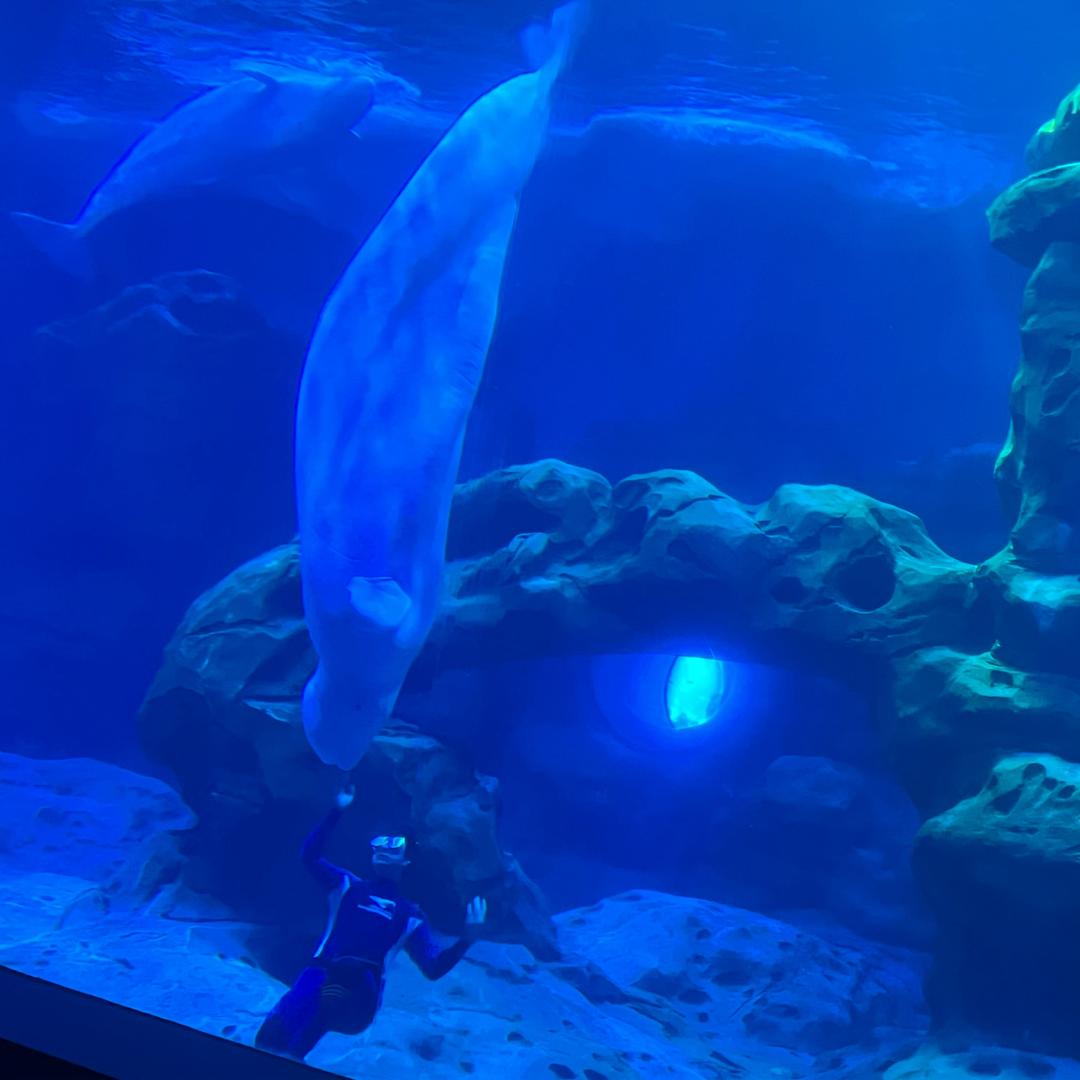 。。。。。？？