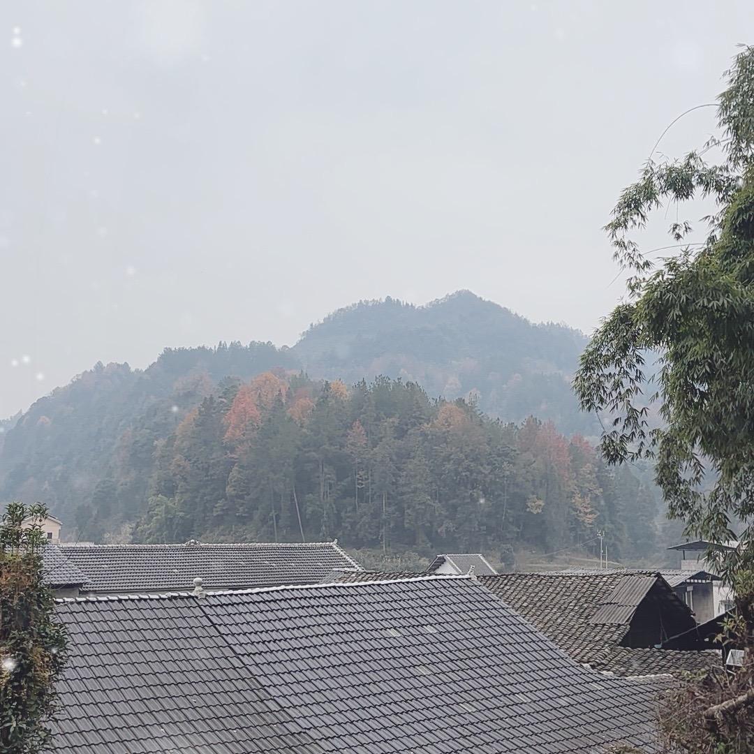 小依乡村美食8567