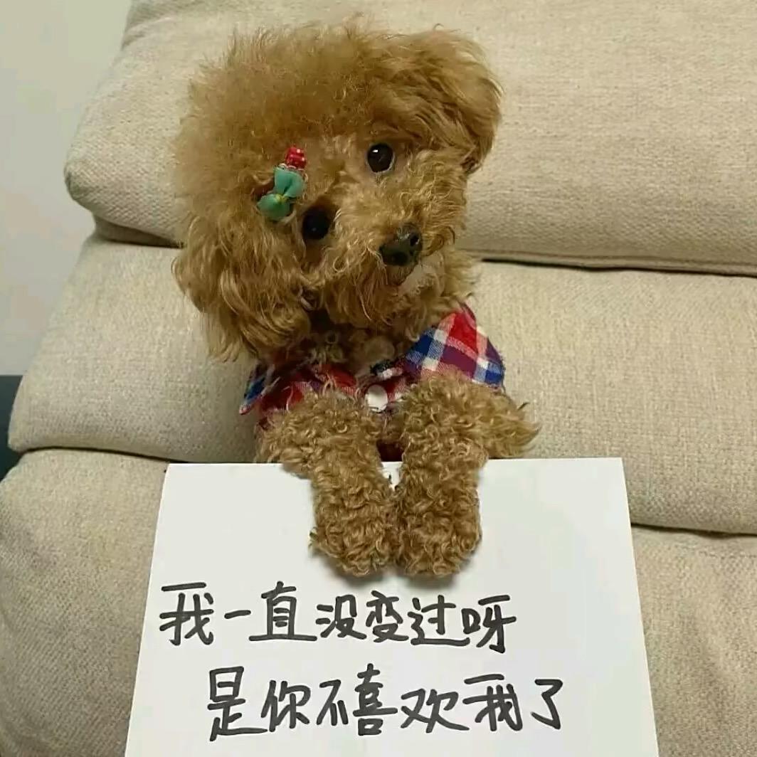 你们谁喜欢土豆