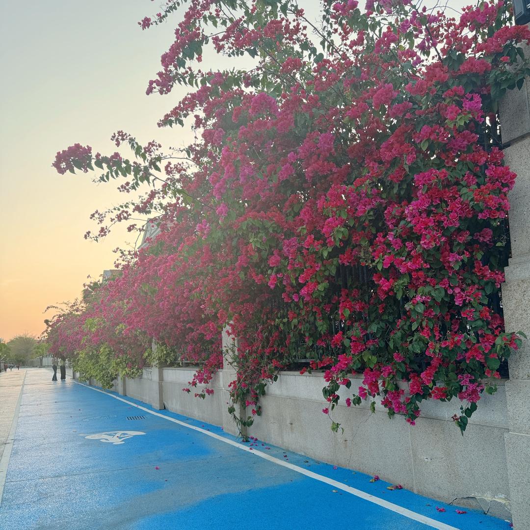 🍒琪宝贝