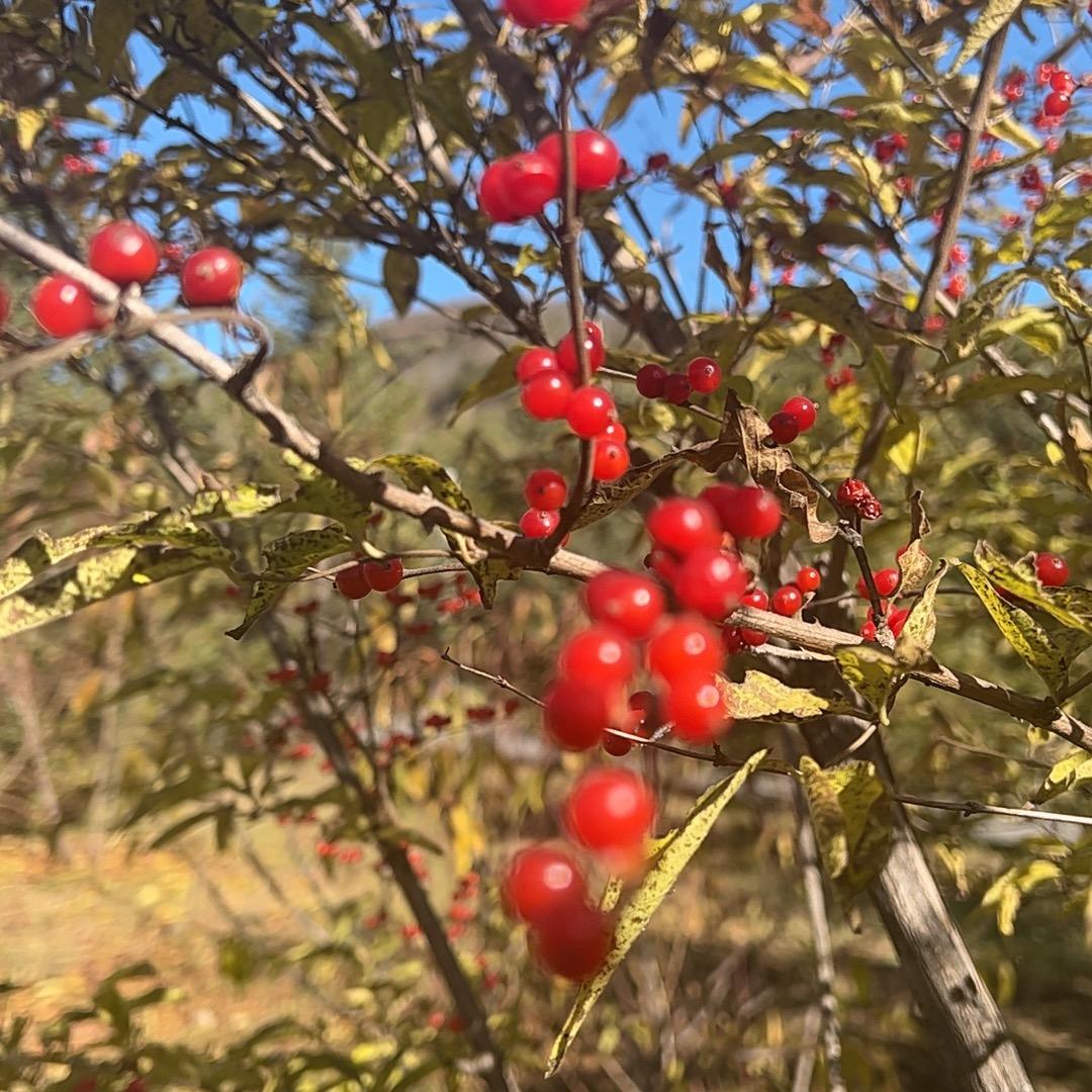 做自己的太阳🌞！