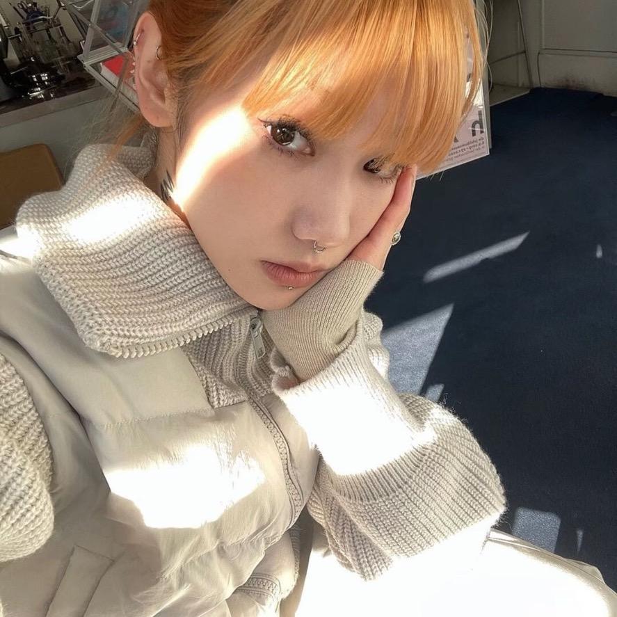 杨杨杨杨