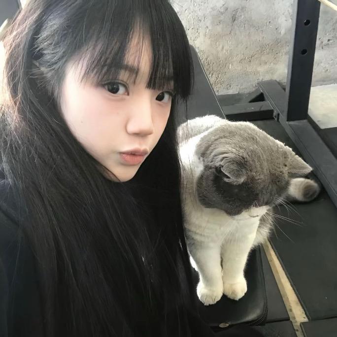 小鱼