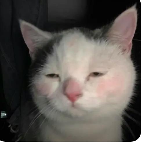 小呆ᴗ⁍̴̛