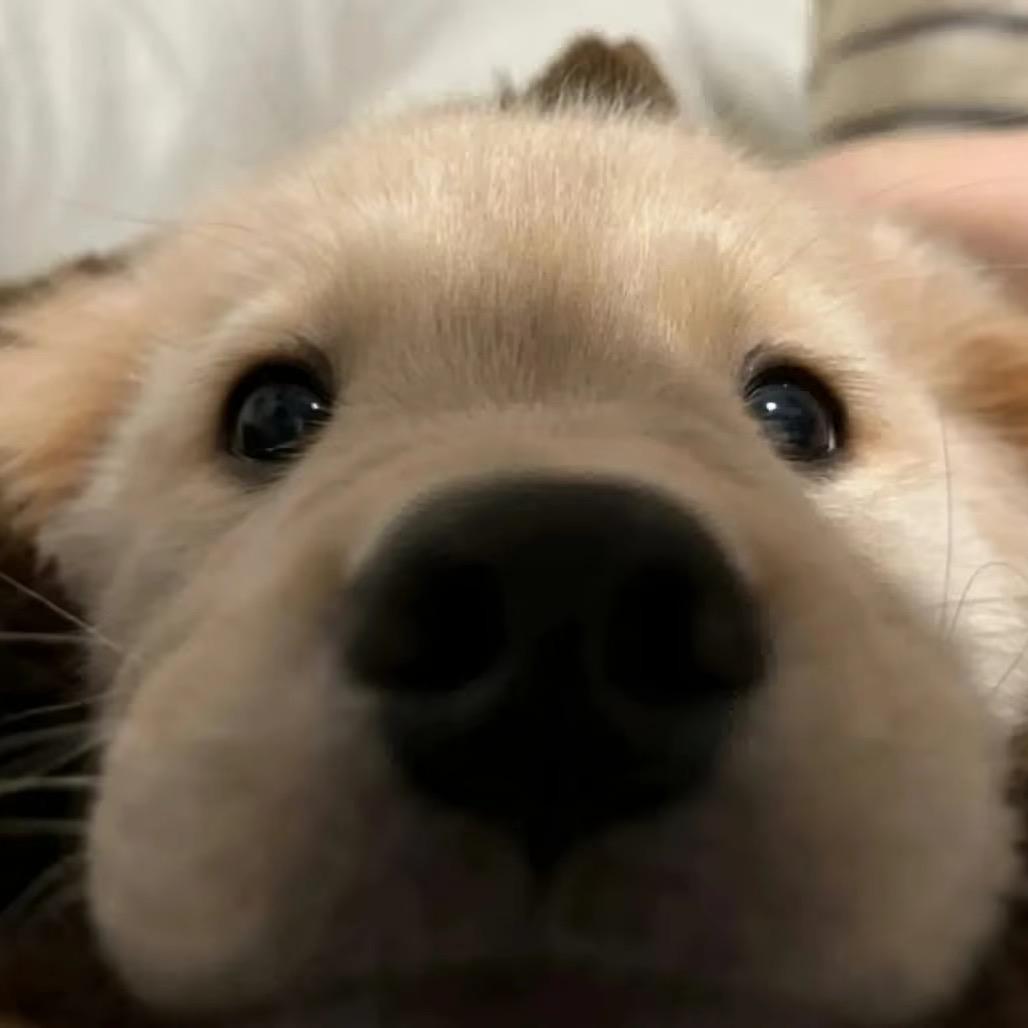 买一份开心送给自己