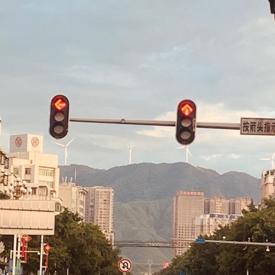 良心中药
