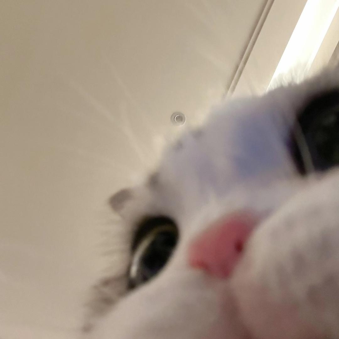 quinn