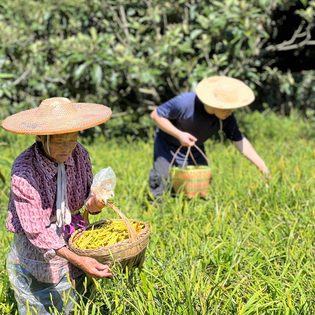 拾柢农场