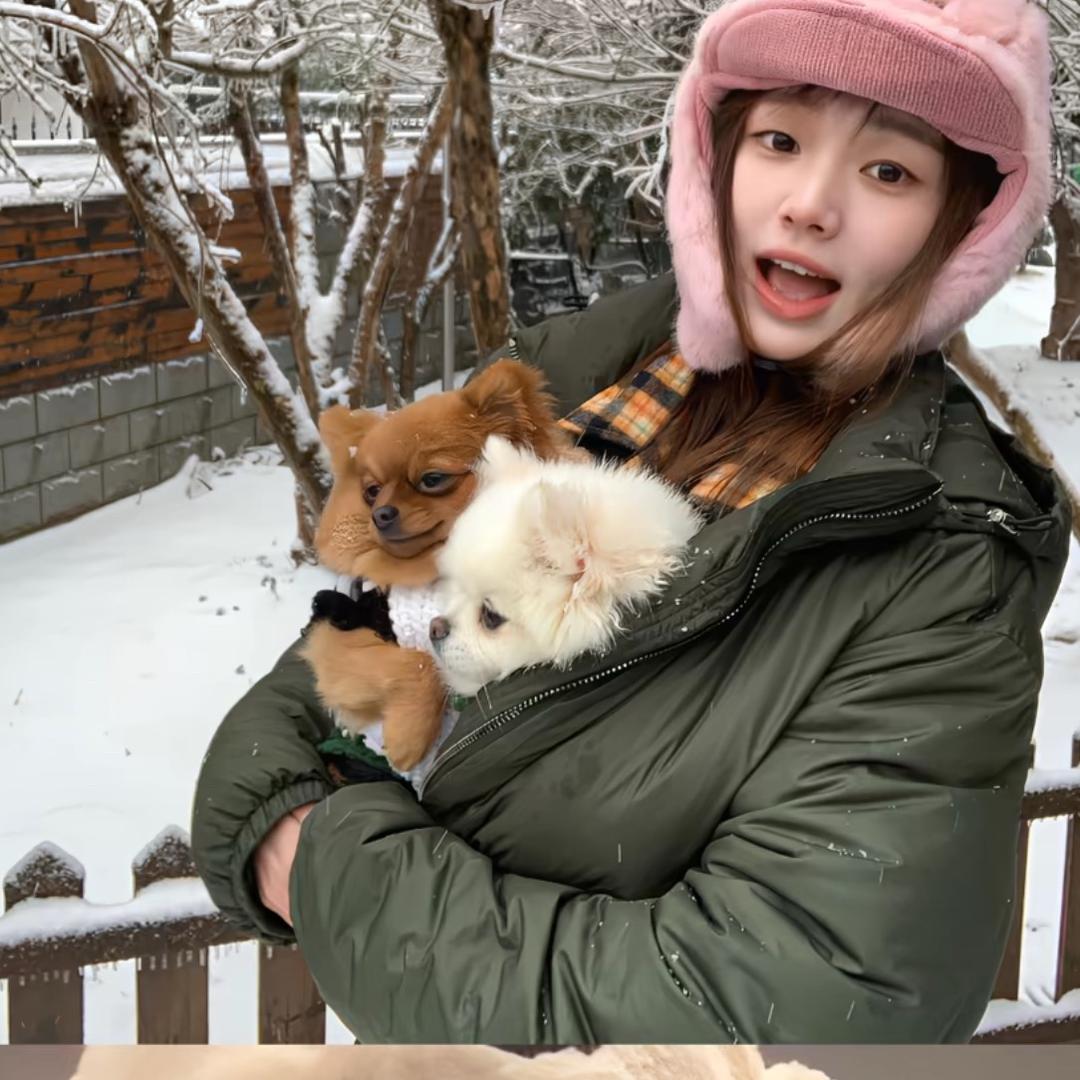 杨星辰