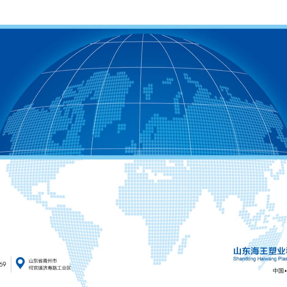 隔离膜聚酯胎—山东海王塑业 孙帅