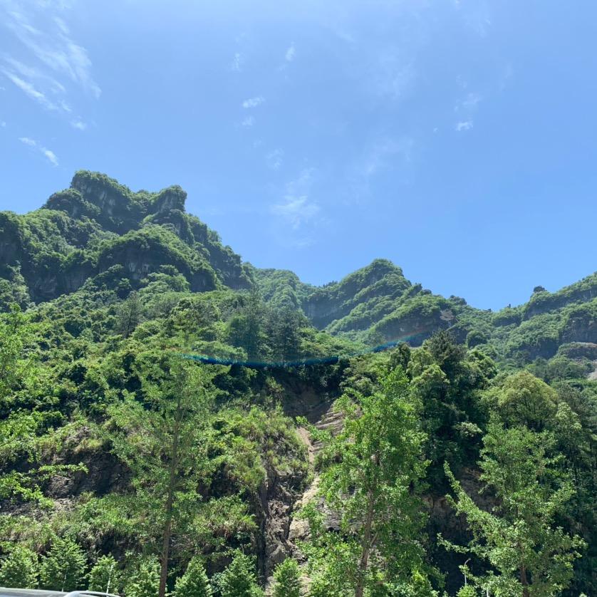姚丽杰
