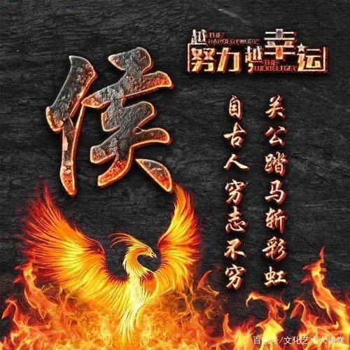 路灯下鲜炒鸡