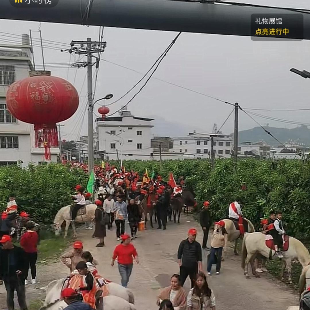 攀枝猴