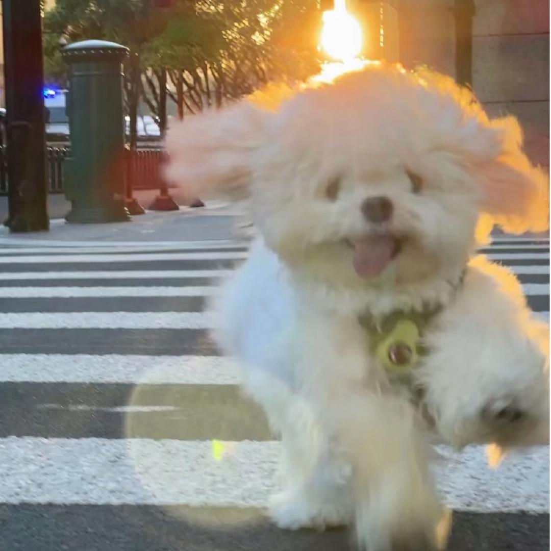 江江好耶🌈头像
