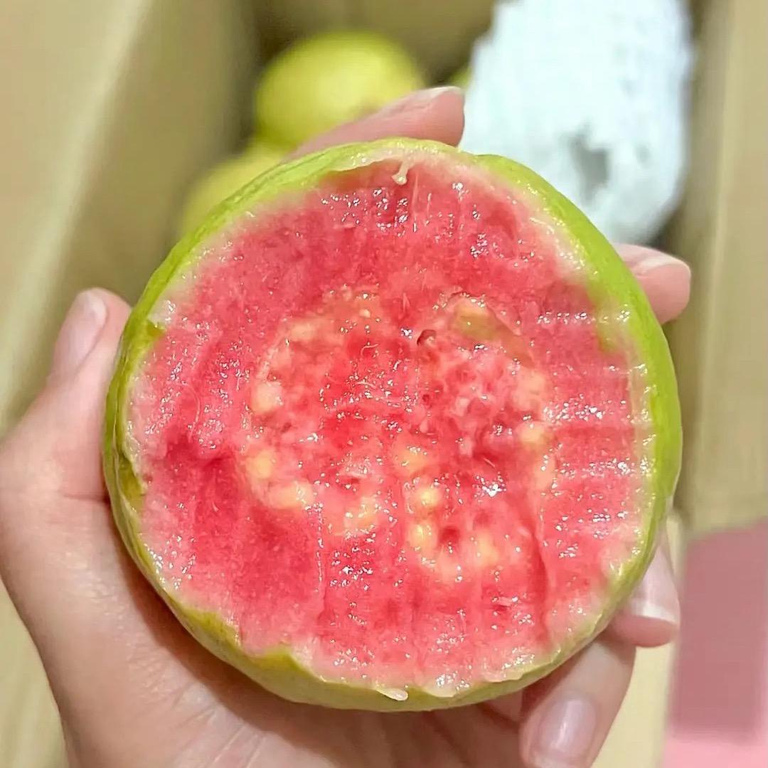 芭乐农场东仓的头像