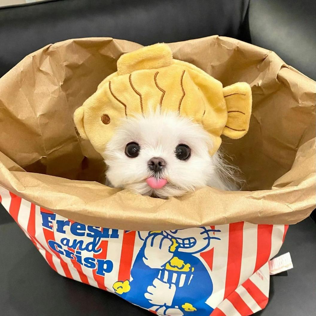 FFF