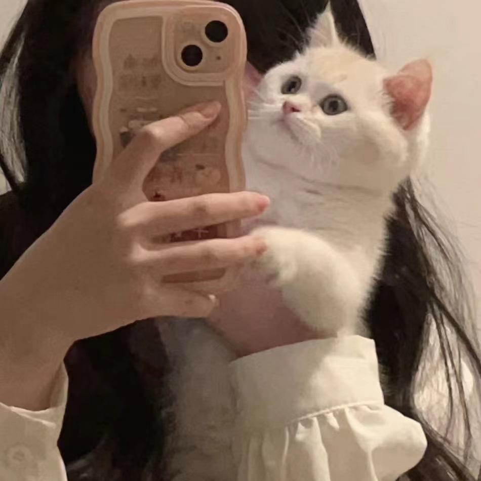 小负婆👑