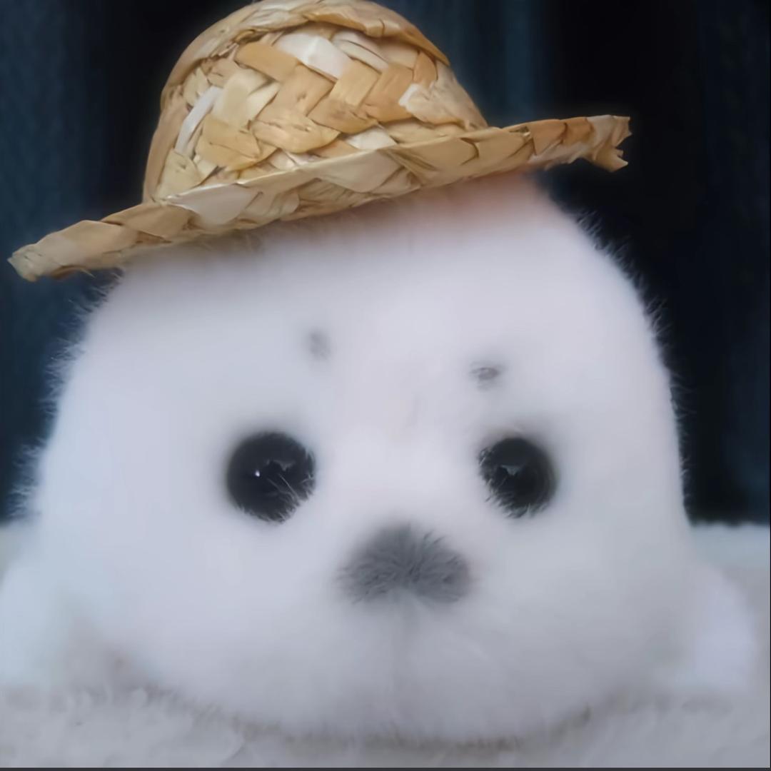 洋芋蛋
