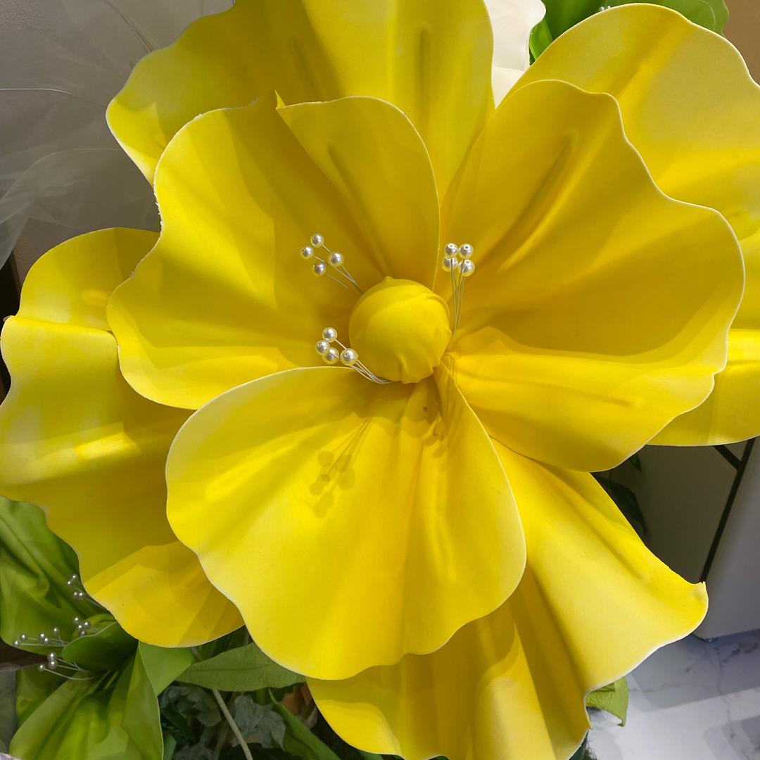 无敌幸运小杜星星