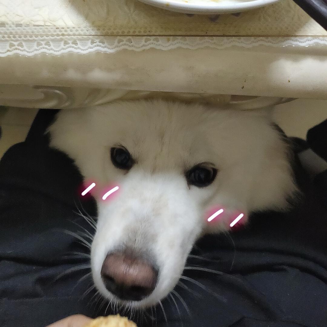 今晚早点睡