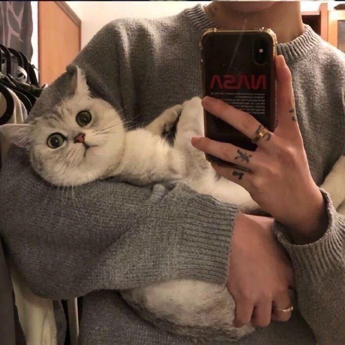 52赫兹y