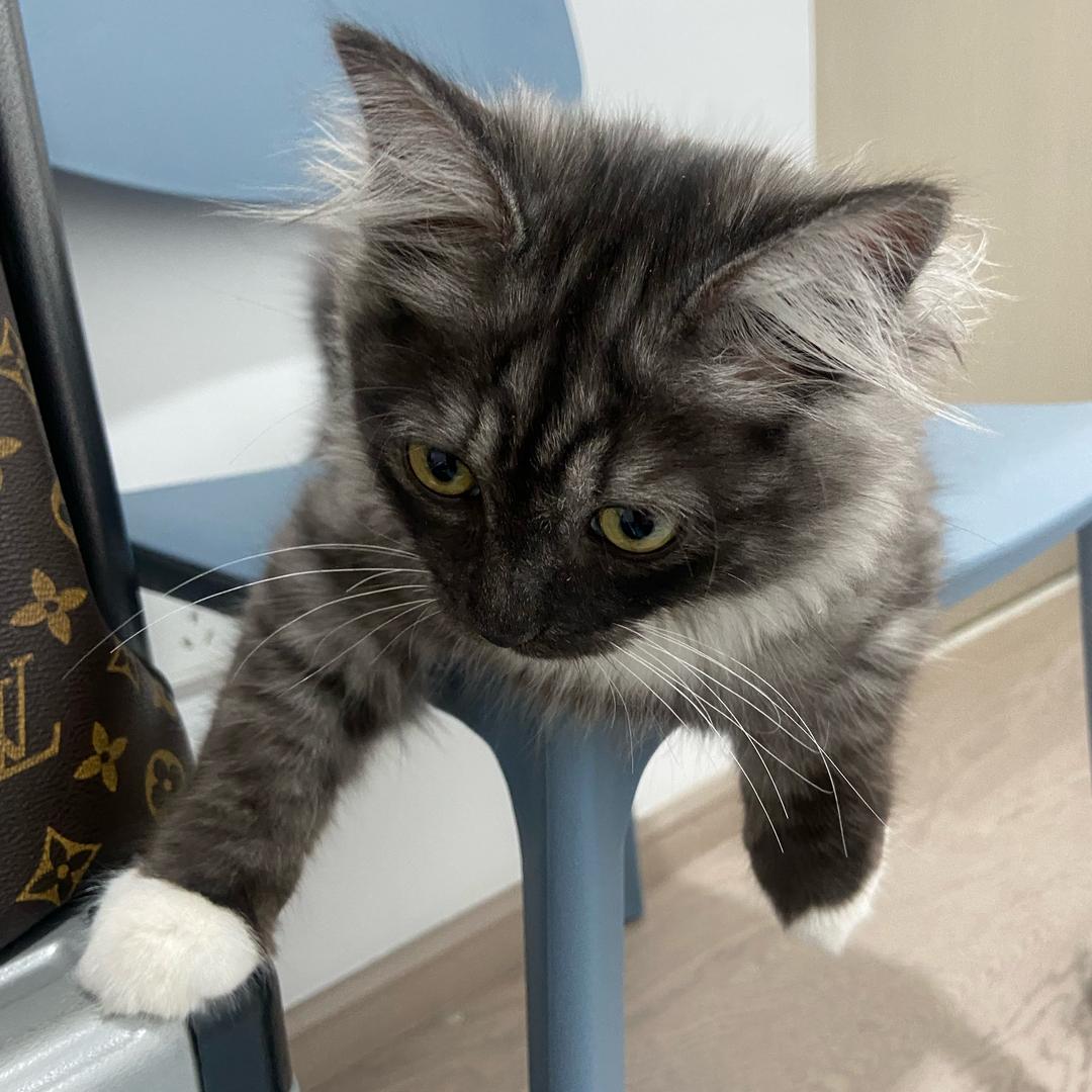 一条不想翻身的咸鱼