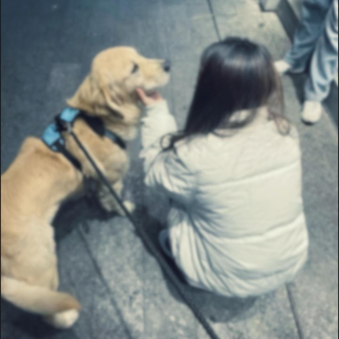 爱吃榴莲