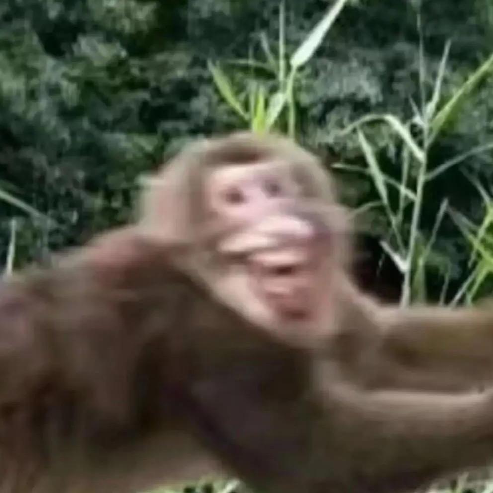 良品铺子雅居乐剑桥郡1号